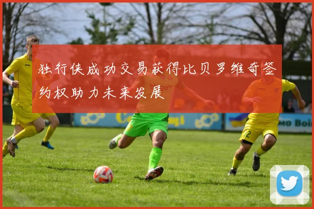 独行侠成功交易获得比贝罗维奇签约权助力未来发展