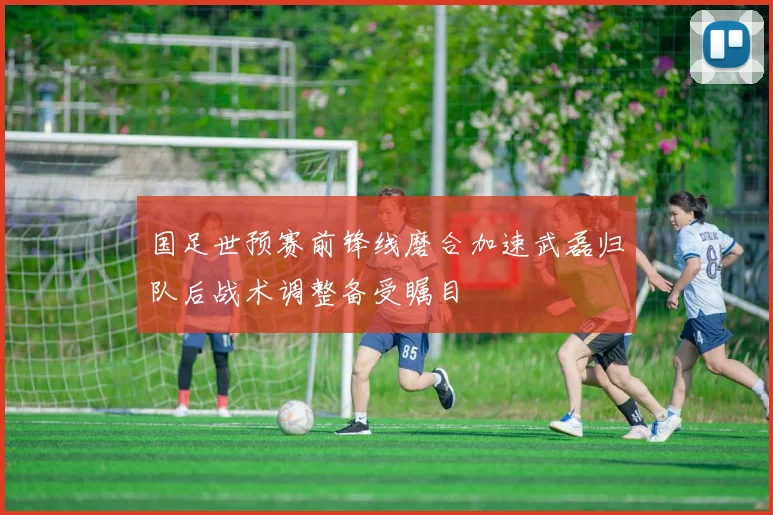 国足世预赛前锋线磨合加速武磊归队后战术调整备受瞩目