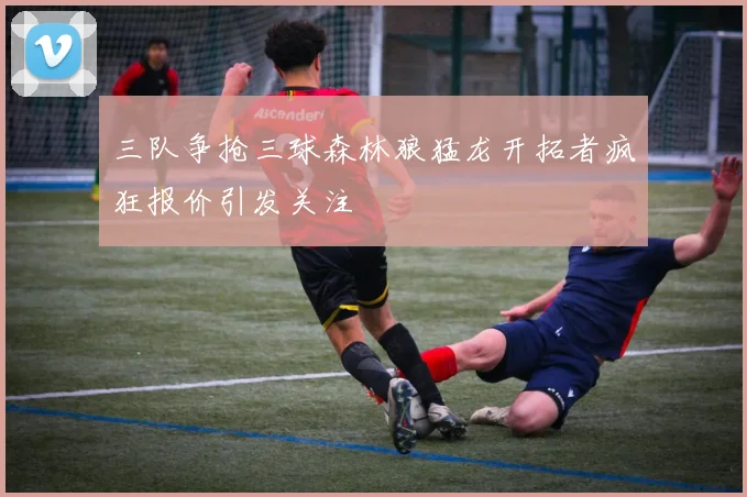 三队争抢三球森林狼猛龙开拓者疯狂报价引发关注