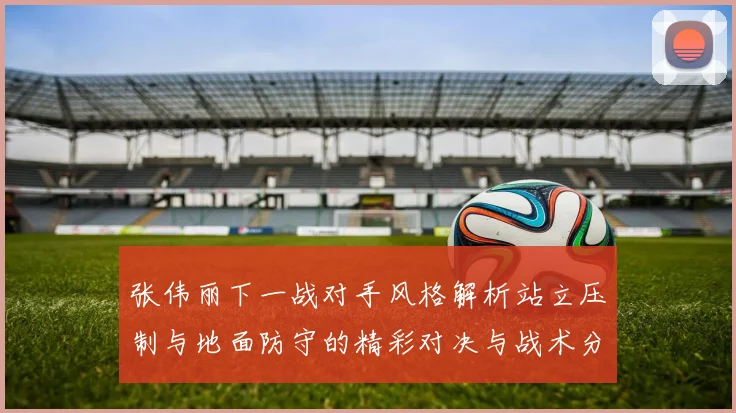 张伟丽下一战对手风格解析站立压制与地面防守的精彩对决与战术分析